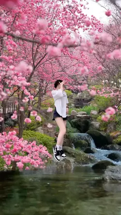 Taman bunga sakura
