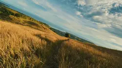 speed ramp