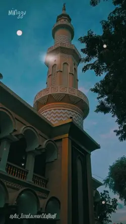 Abuya uciturtusi