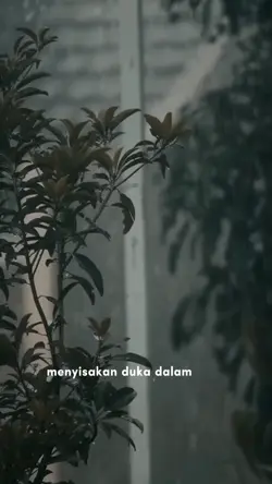 wajib coba