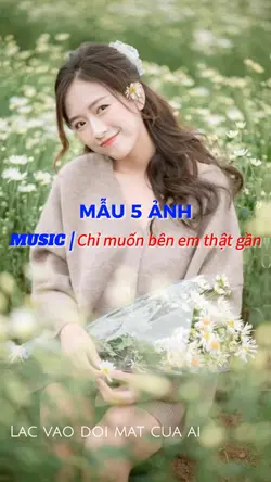 Mẫu 5 ảnh hiệu ứng