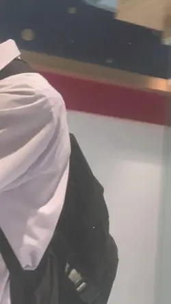 ฟีด