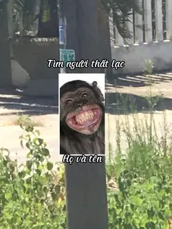Mẫu troll bạn|