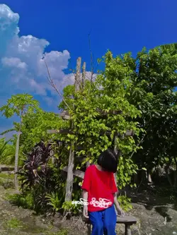တောင်ပန်ပါဒယ်