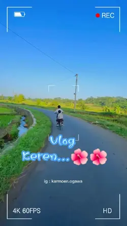 Mini Vlog