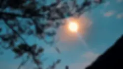 Chill lofi 1 video
