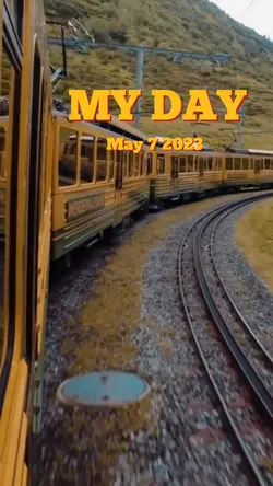 My Day