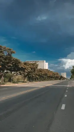 Vlog