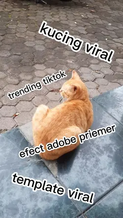 trend tiktok