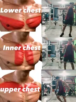 GYM FITNESS / GUIDE 
