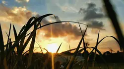 story cinematic