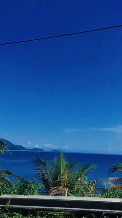 slowmo viral