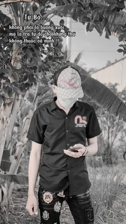 mẫu story 1 ảnh