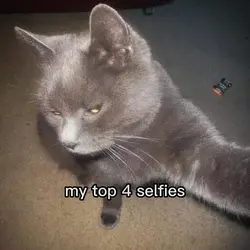 top 4 selfie+filter