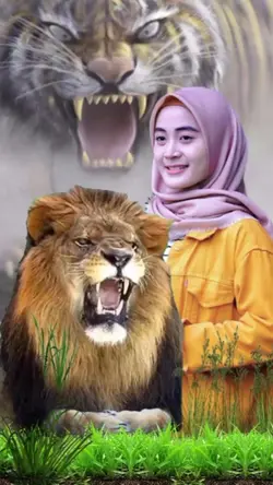 Singa & Macan Loreng