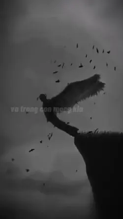 mẫu 2 ảnh