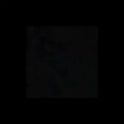 2pics
