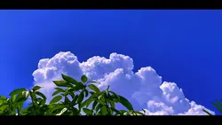 Chill thiên nhiên
