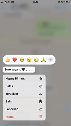 notif whatsapp