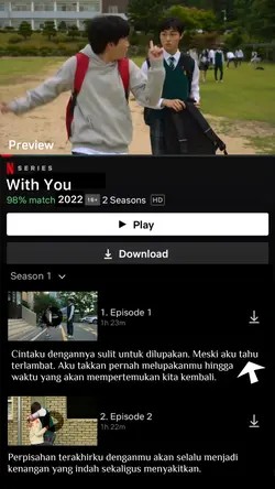 Netflix version