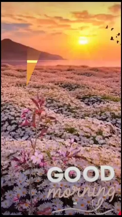 Morning Praise