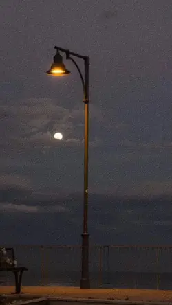 Musik tampa lirik