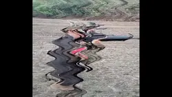 1video5photo