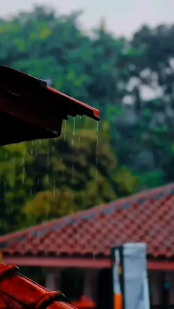 cinematik hujan