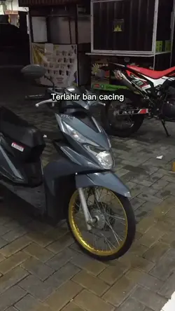 terlahir ban cacing