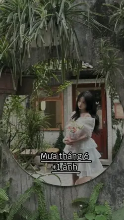 Best 1 ảnh+ màu 