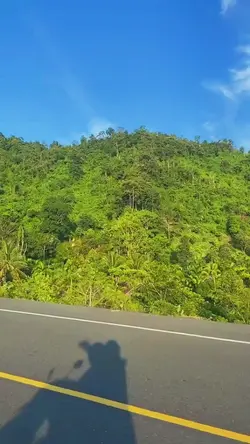 slowmo