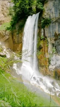 video mundur 