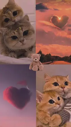 cat lovers