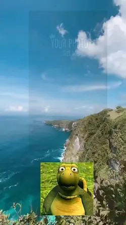 meme kura kura