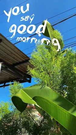 Good morning