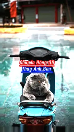 Chuyển động 3D