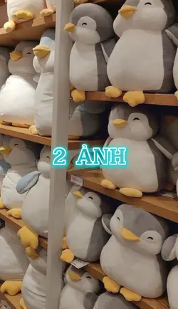 2 ảnh cuti