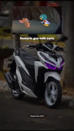 Jerry dan bebek