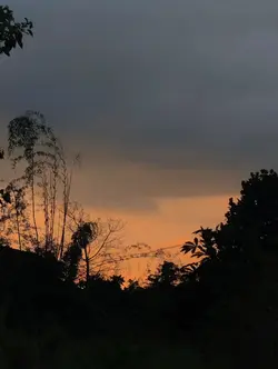 beautiful sunset 