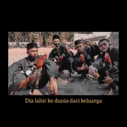 Status wa