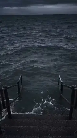 面白いやつ‪.ᐟ