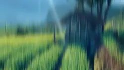Aesthetic Video