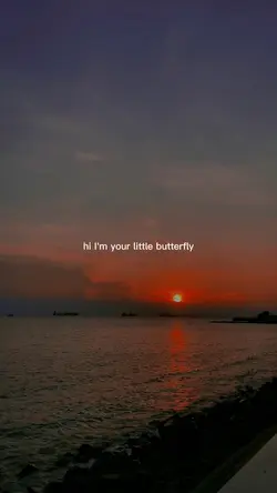 Butterfly lyrics