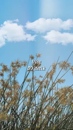 Vlog 30 detik
