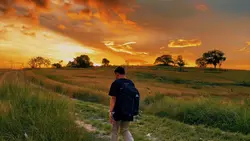 sunset view