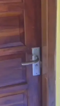 Transisi pintu
