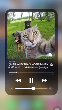 new sound
