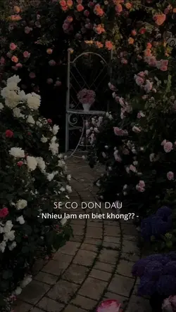 Ai đâu hay - Remix