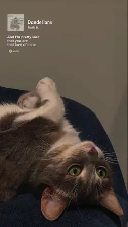 dandelious lirik