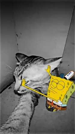 SPONGEBOB LICKING